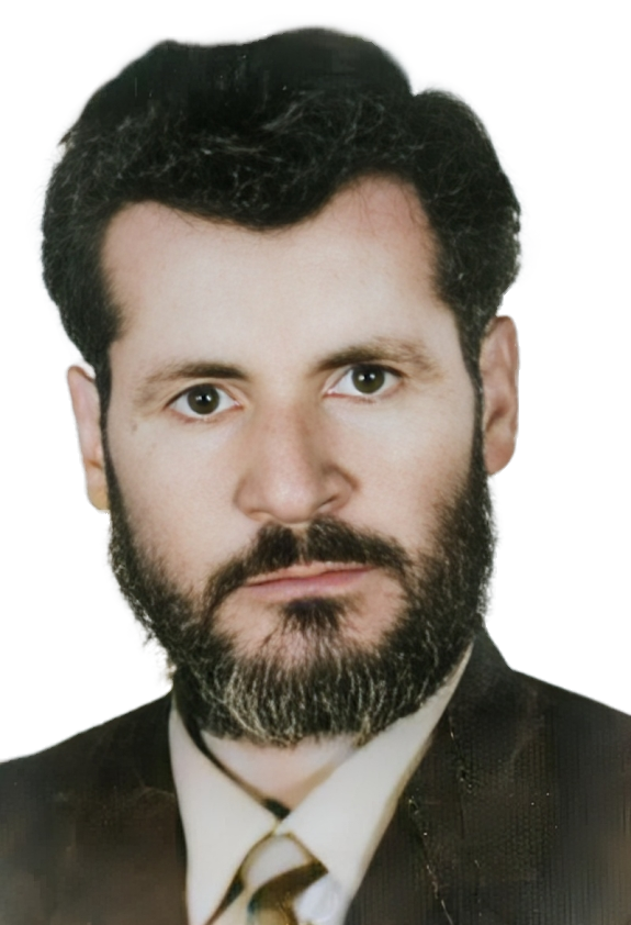 سید حمزه طافت میمندی