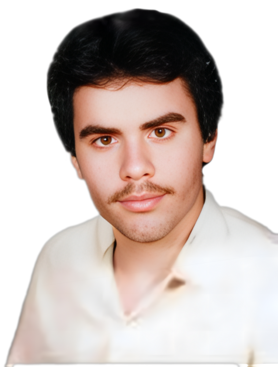 هادی محبوب