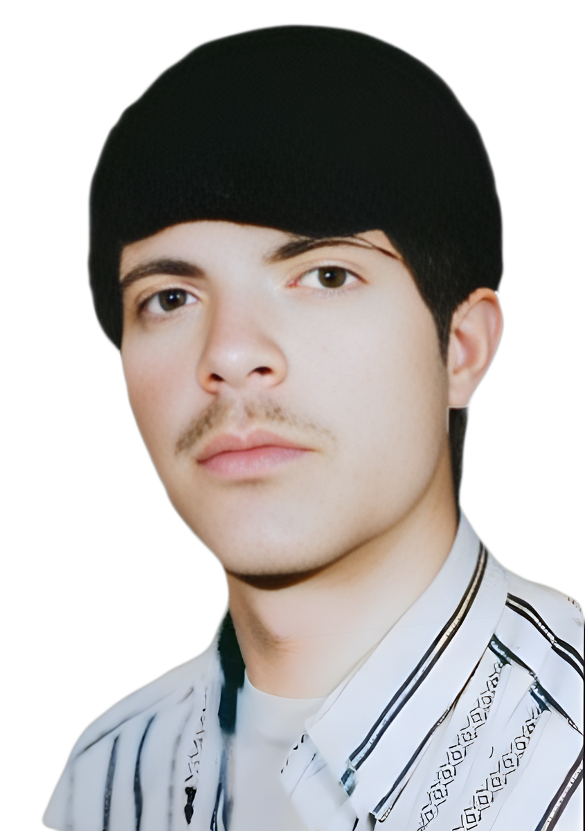 حسن محبوبی