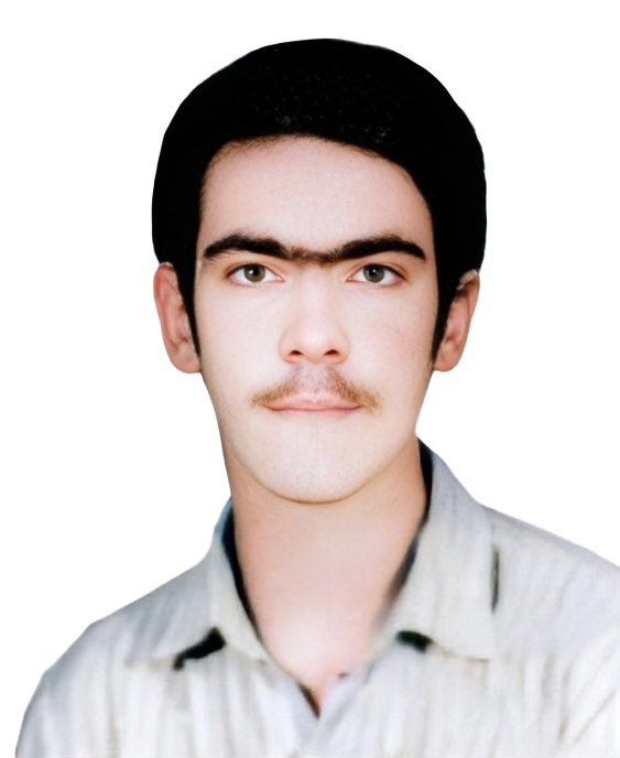 محمدحسین محمدزاده گان