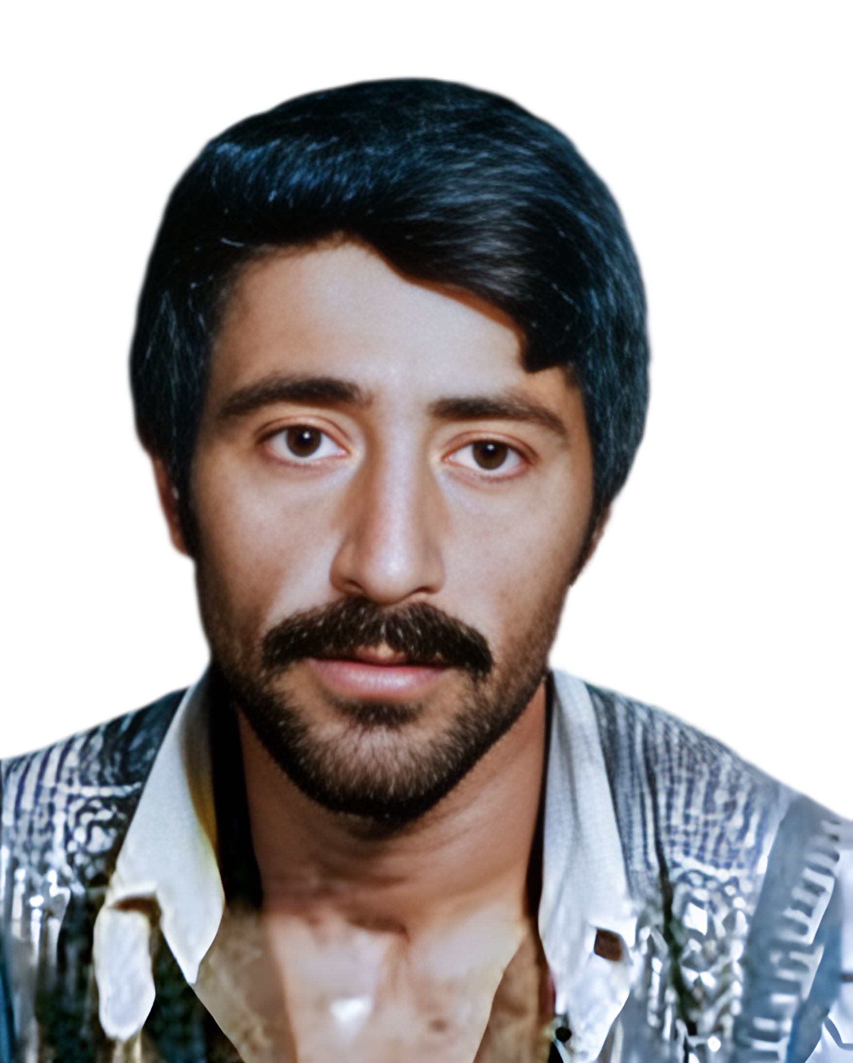 رضا محمدی قصرعاصمی