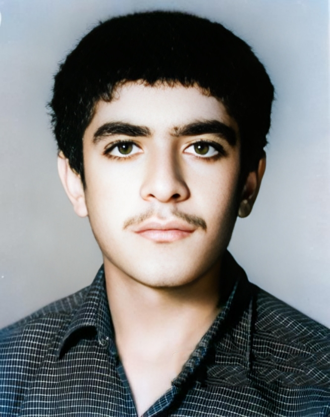 محمدمهدی محمدی
