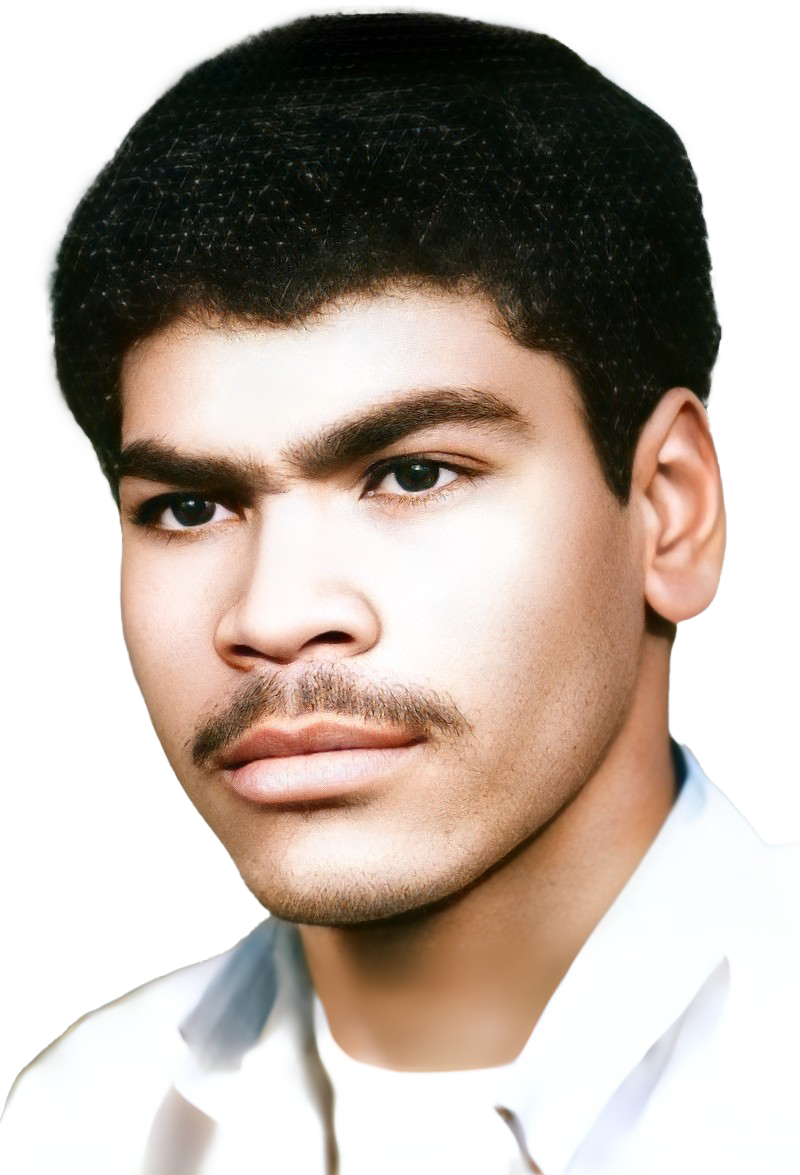 سیاوش محمدی اصل