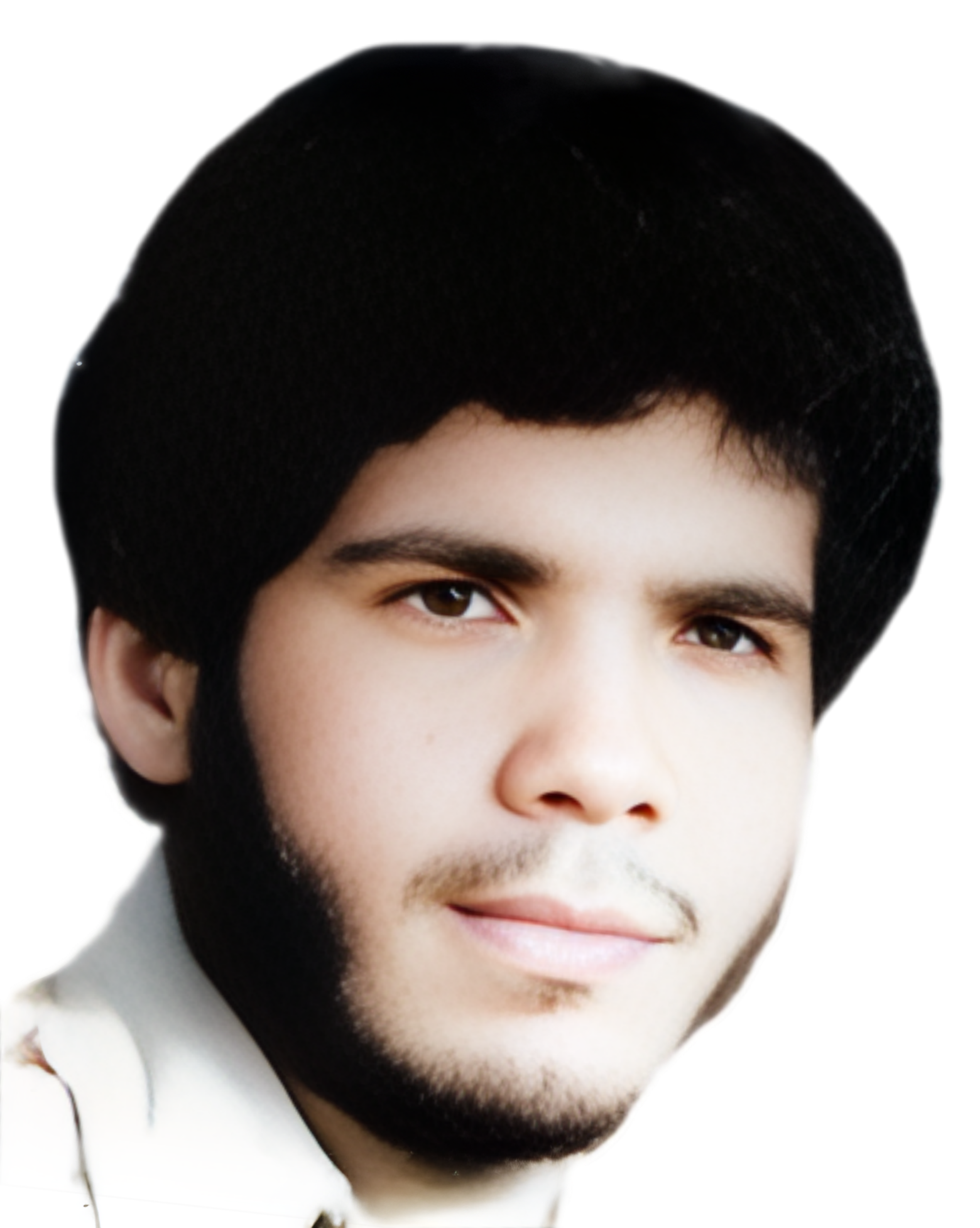 مجید محمدی راد