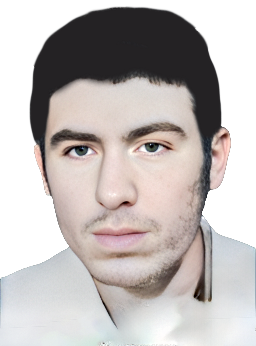 غلام حسین محمودی