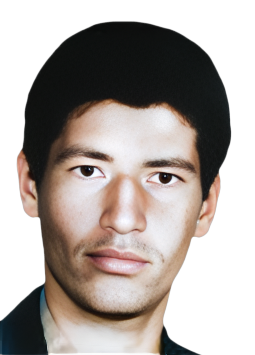 منصور محمودی