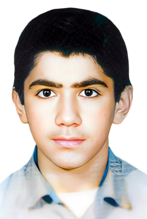 مهدی مرحمتی