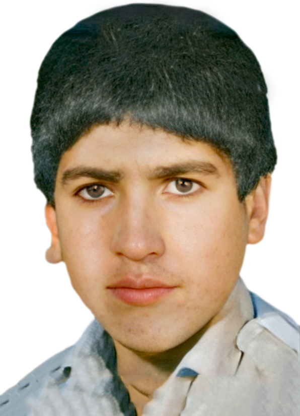 حسینقلی مردانه