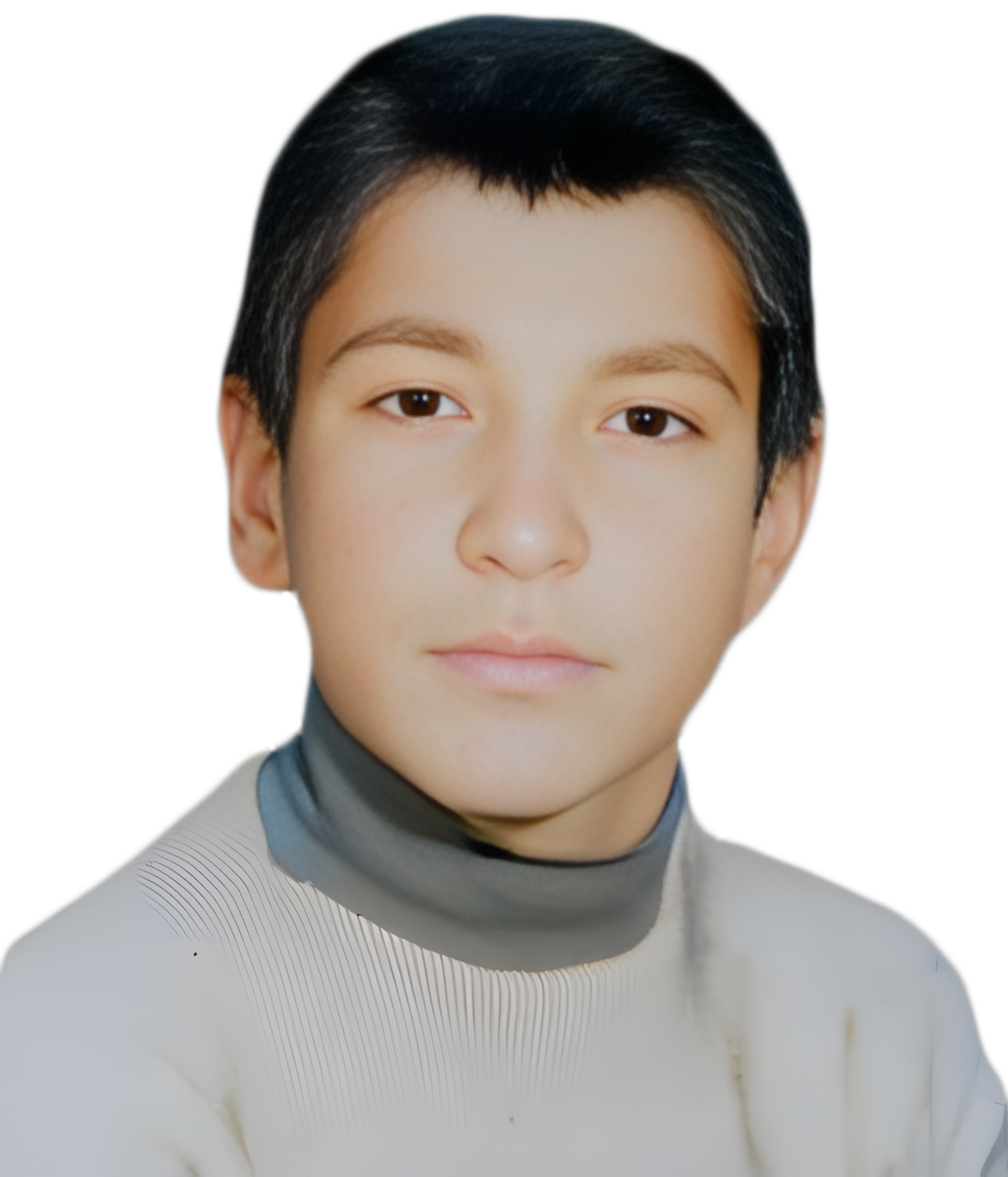 ایرج مردانی