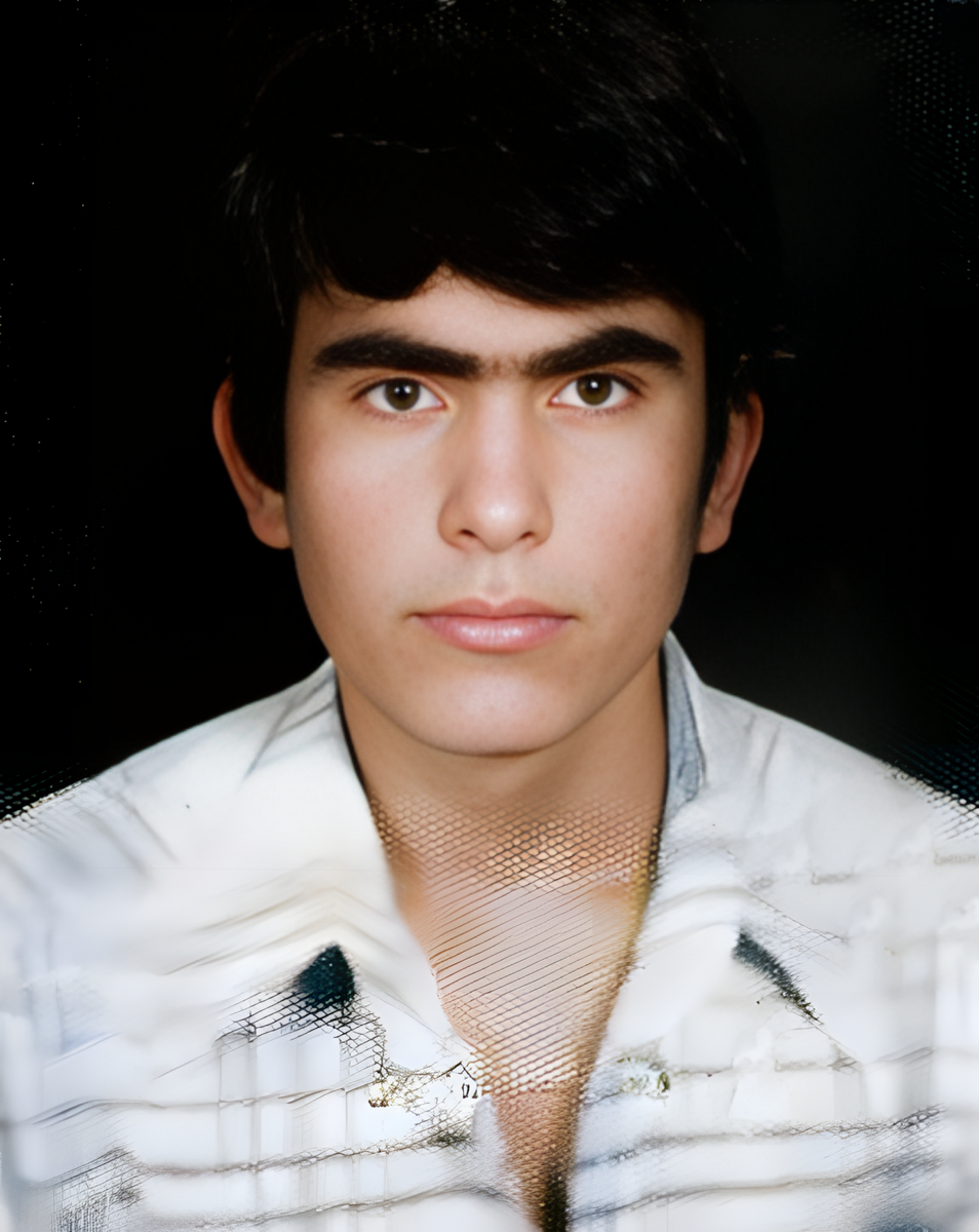 بهمن مردانی