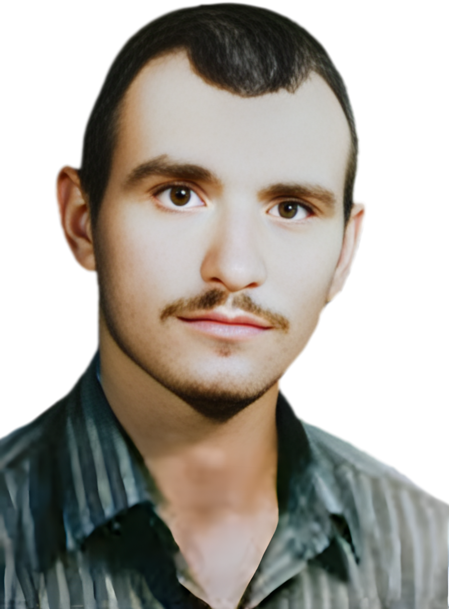 هادی مردانی