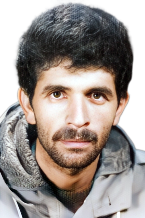 داود مردانی کشکولی