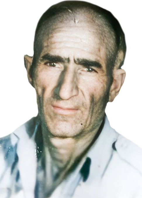 غلام شاه مزارعی