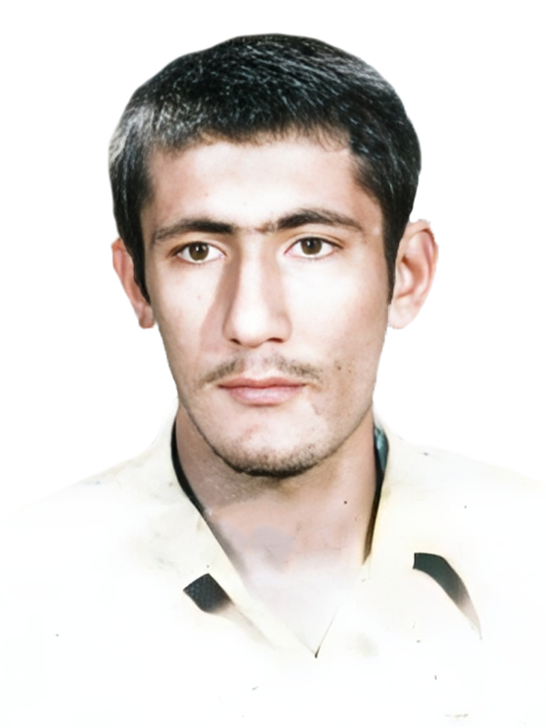 حسن ملک زاده