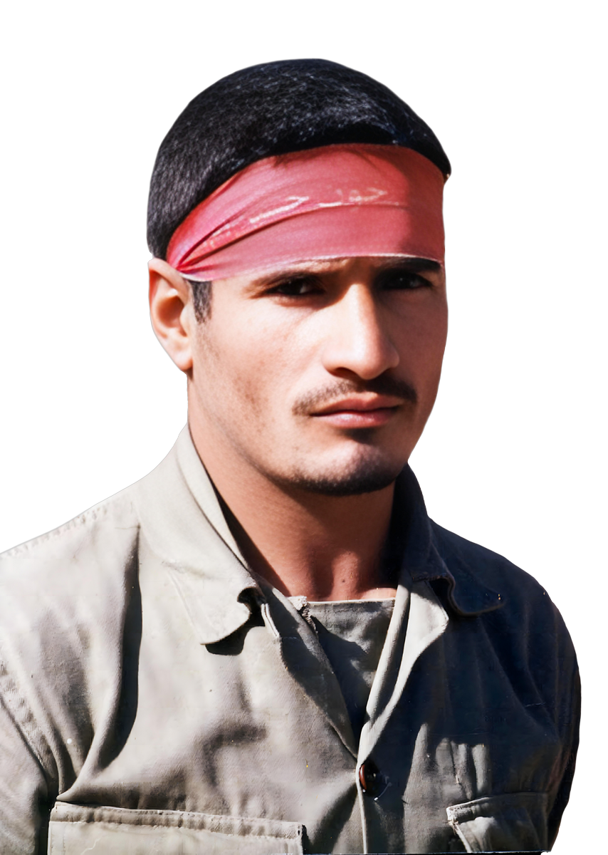 محمدهاشم ملک زاده