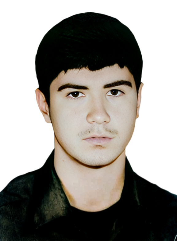 ولی اله ملکی