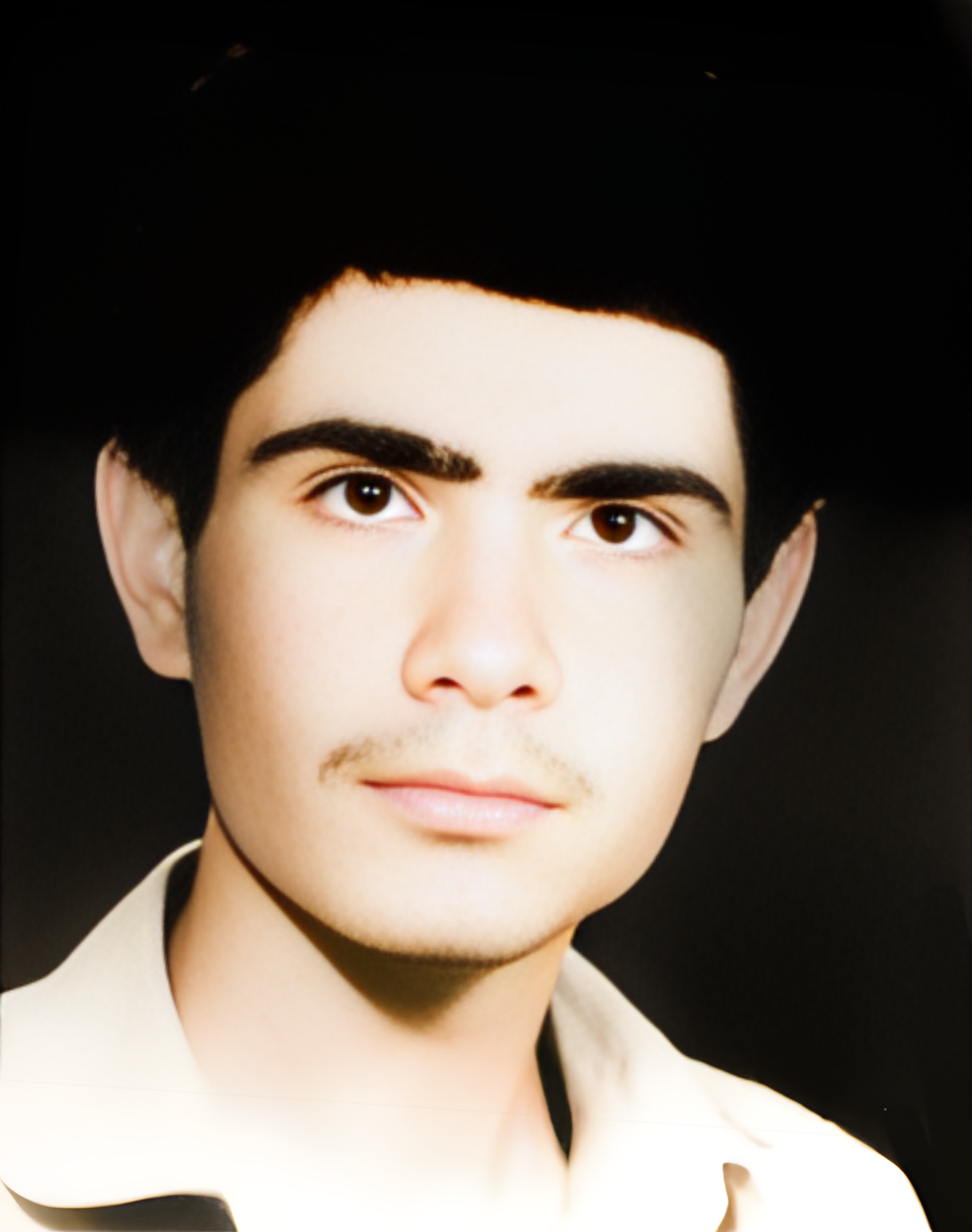 محمدتقی منصوری