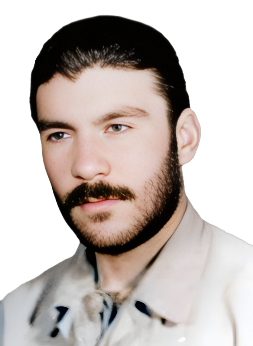 هادی منصوری