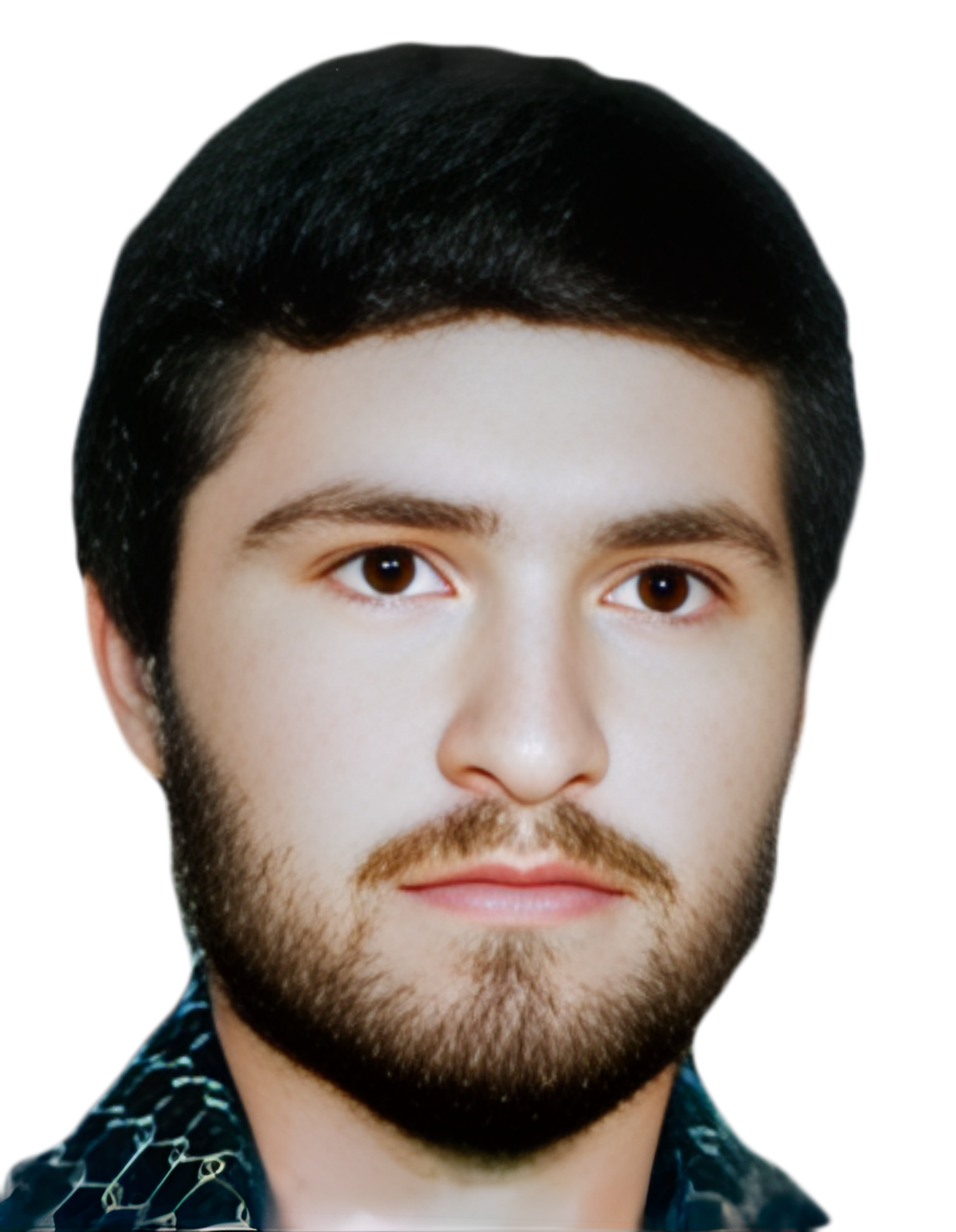 محمدحسین منوری