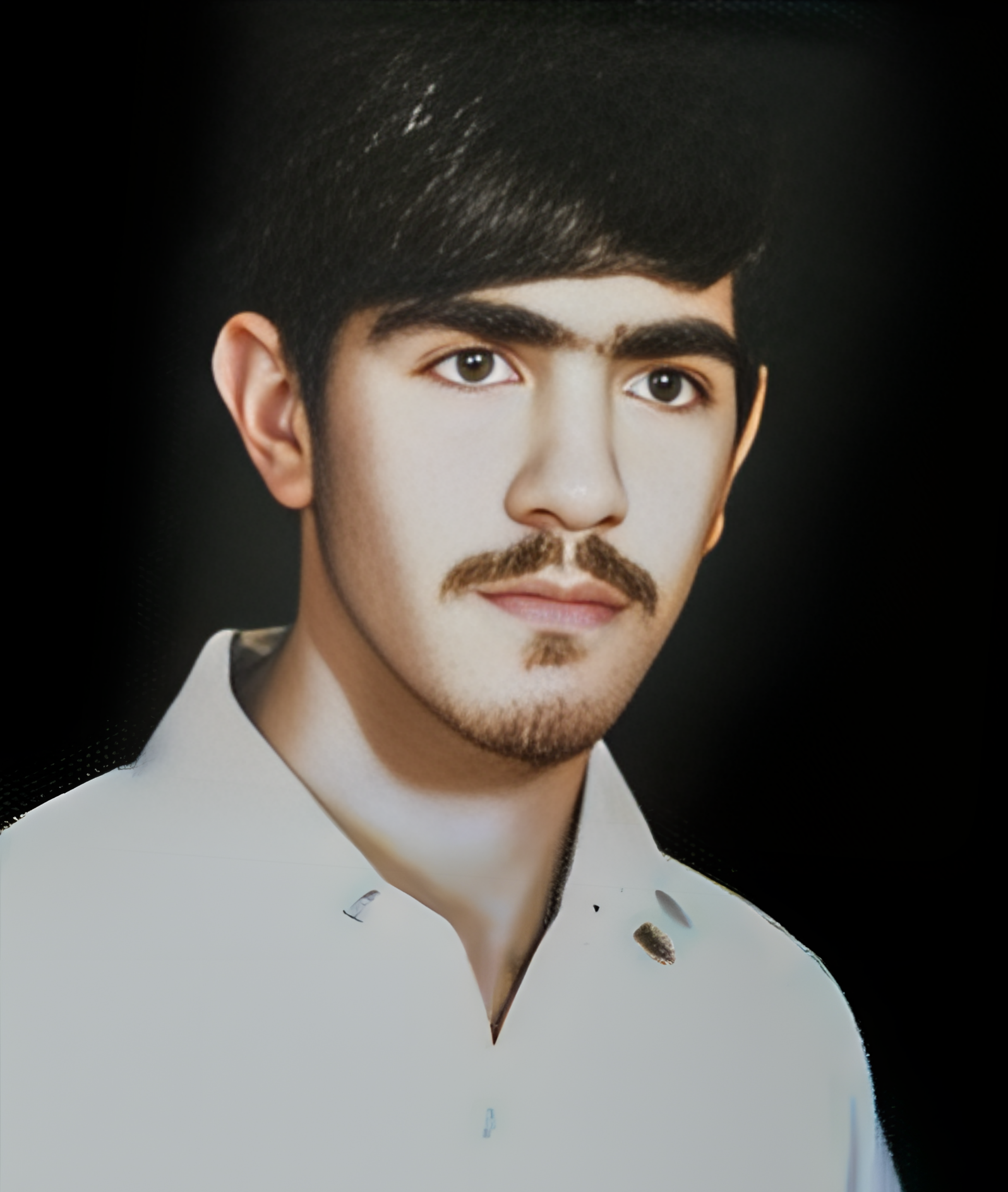 شهرام میرشکاری ایجی