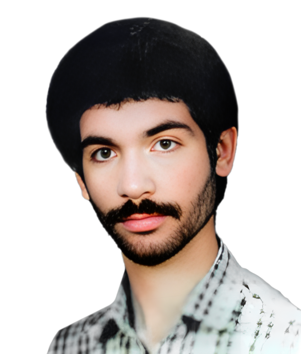 سید هاشم میری