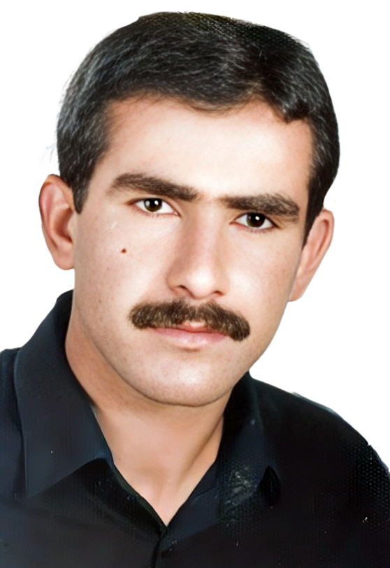 حمزه نامدار