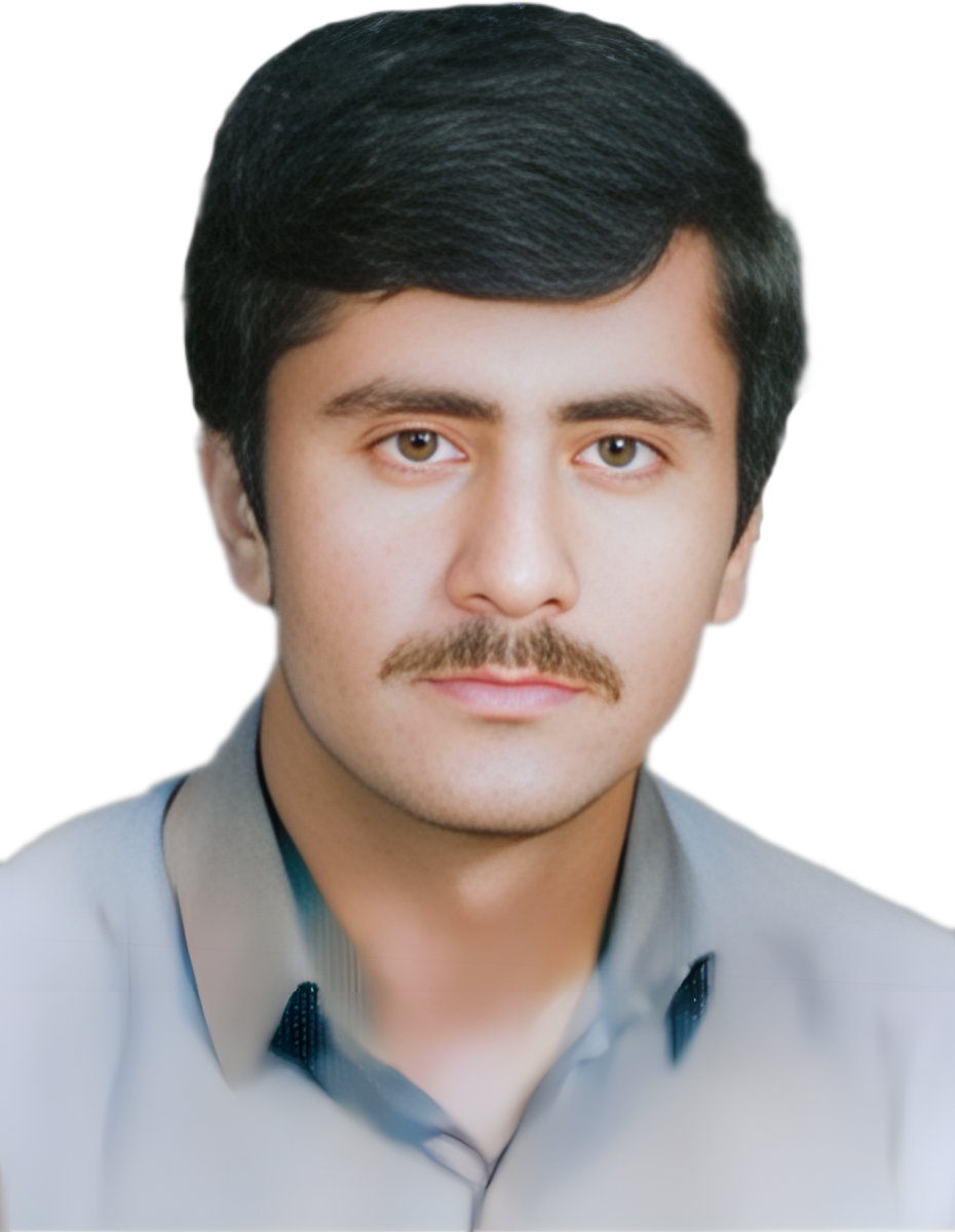 جمشید نجفی تیره شبانکاره