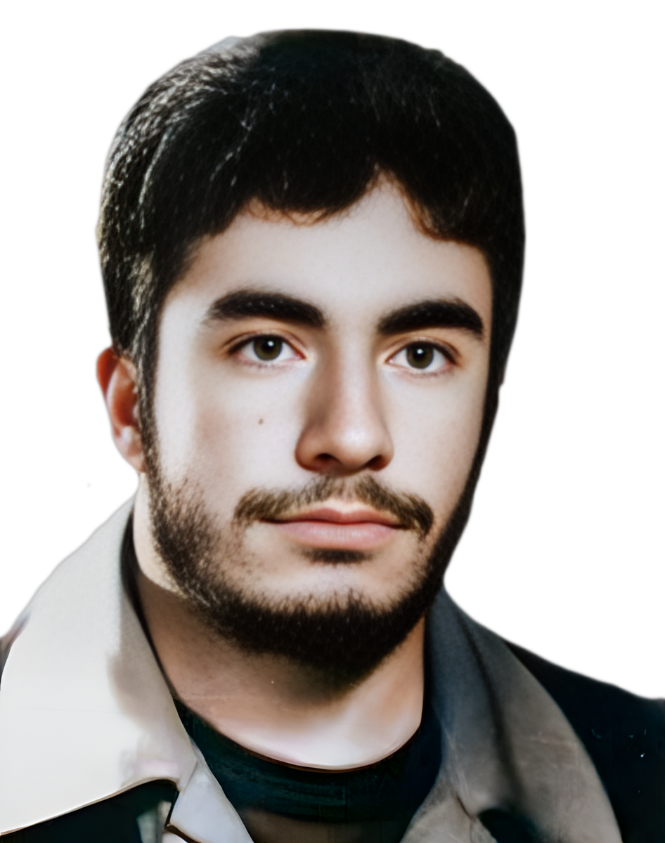 سیدمحمد نجیب