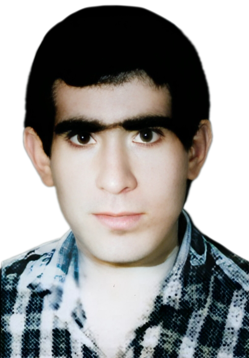 حسین نخل رو