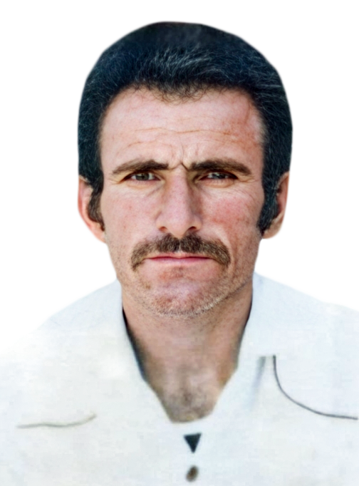 فریدون نرمانی