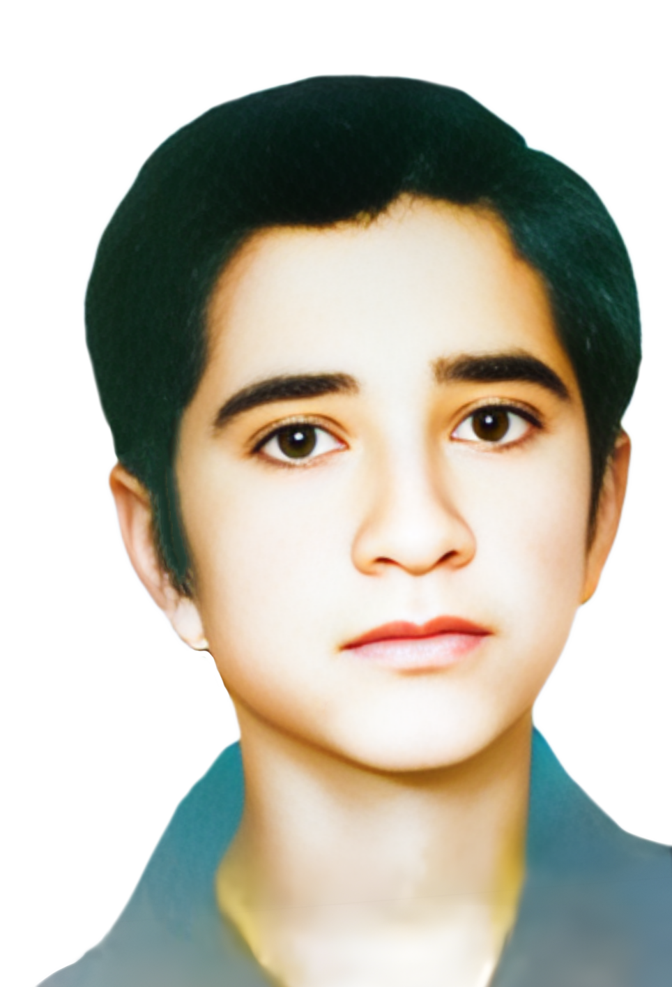 سیاوش نظافت