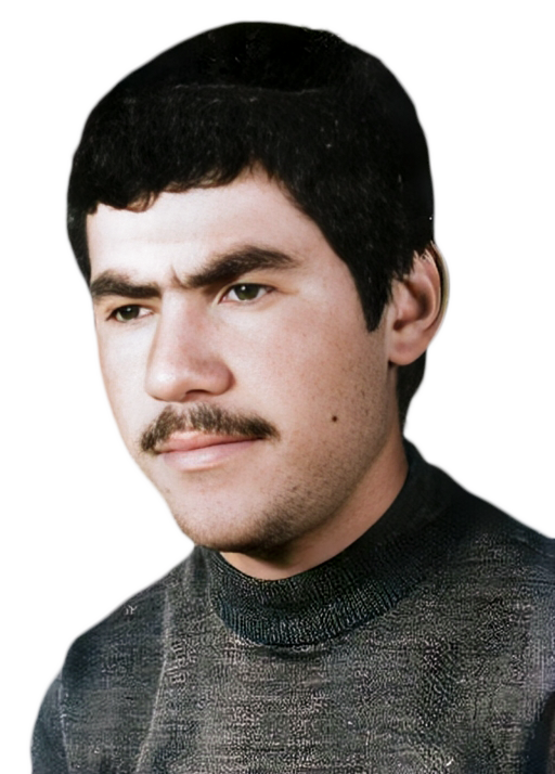 محمدحسین نعمت الهی