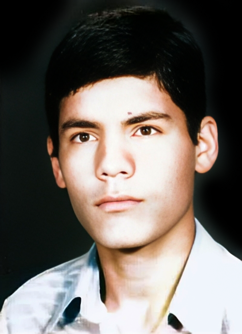 حمداله نعمتی