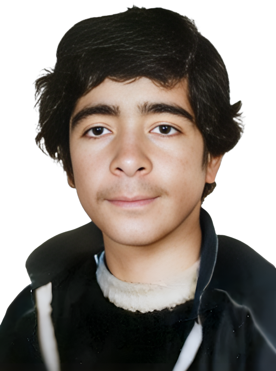 مصطفی نعمتی لیرمنجانی