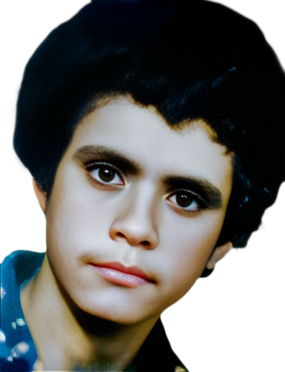 فیروز نوروزی شیری