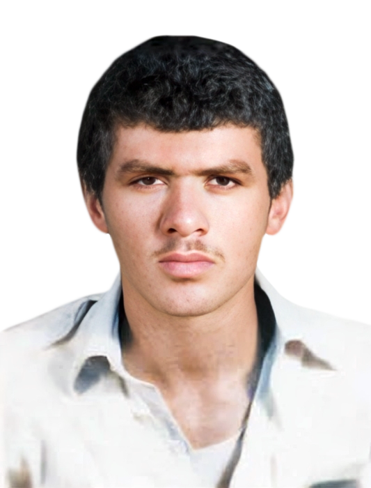 هادی نیک رو