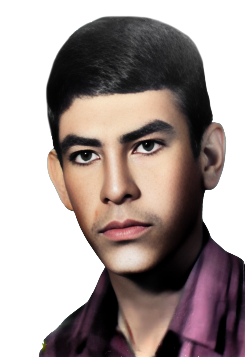 محمد علی نیک فر