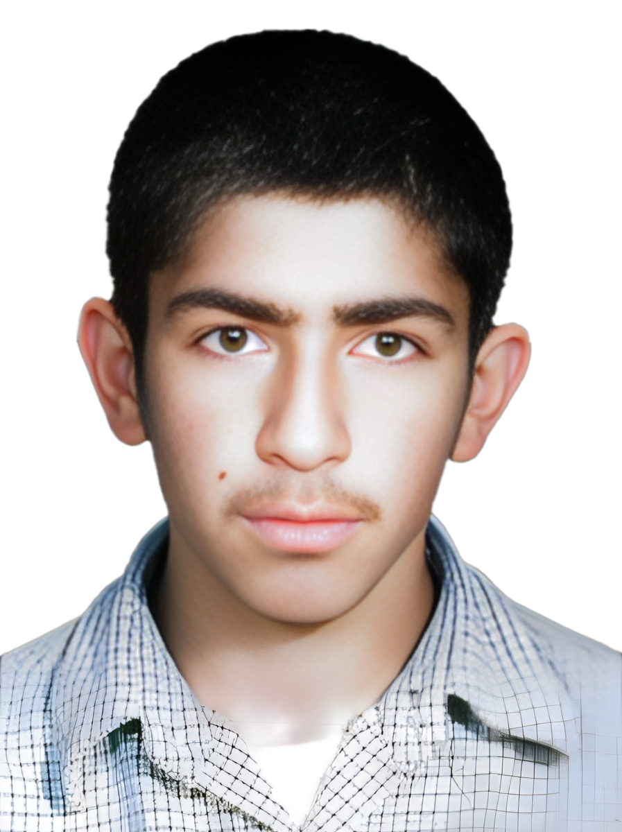 حمید وطن