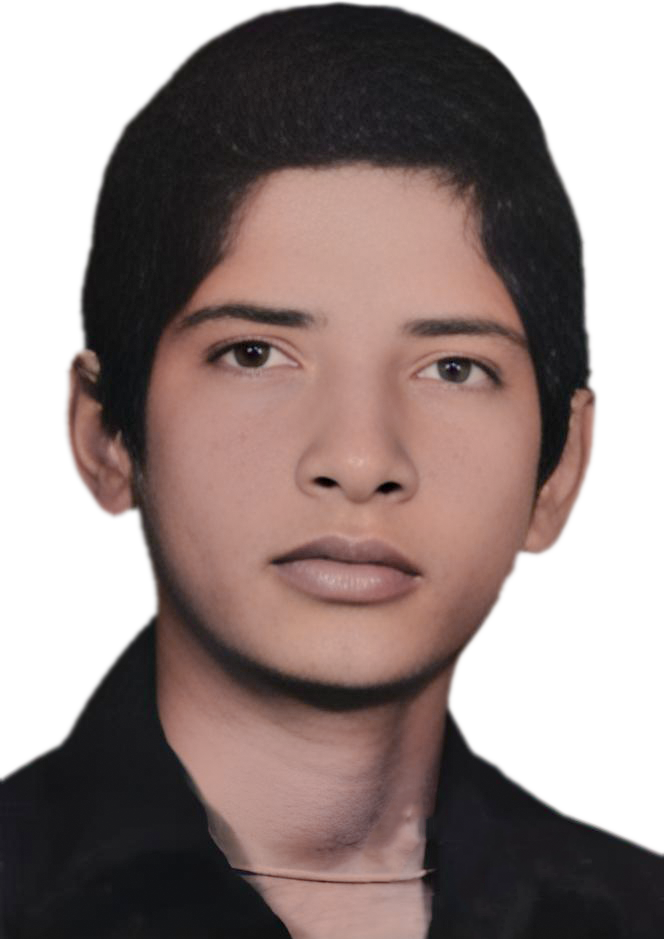 سیدحسام الدین هاشمی