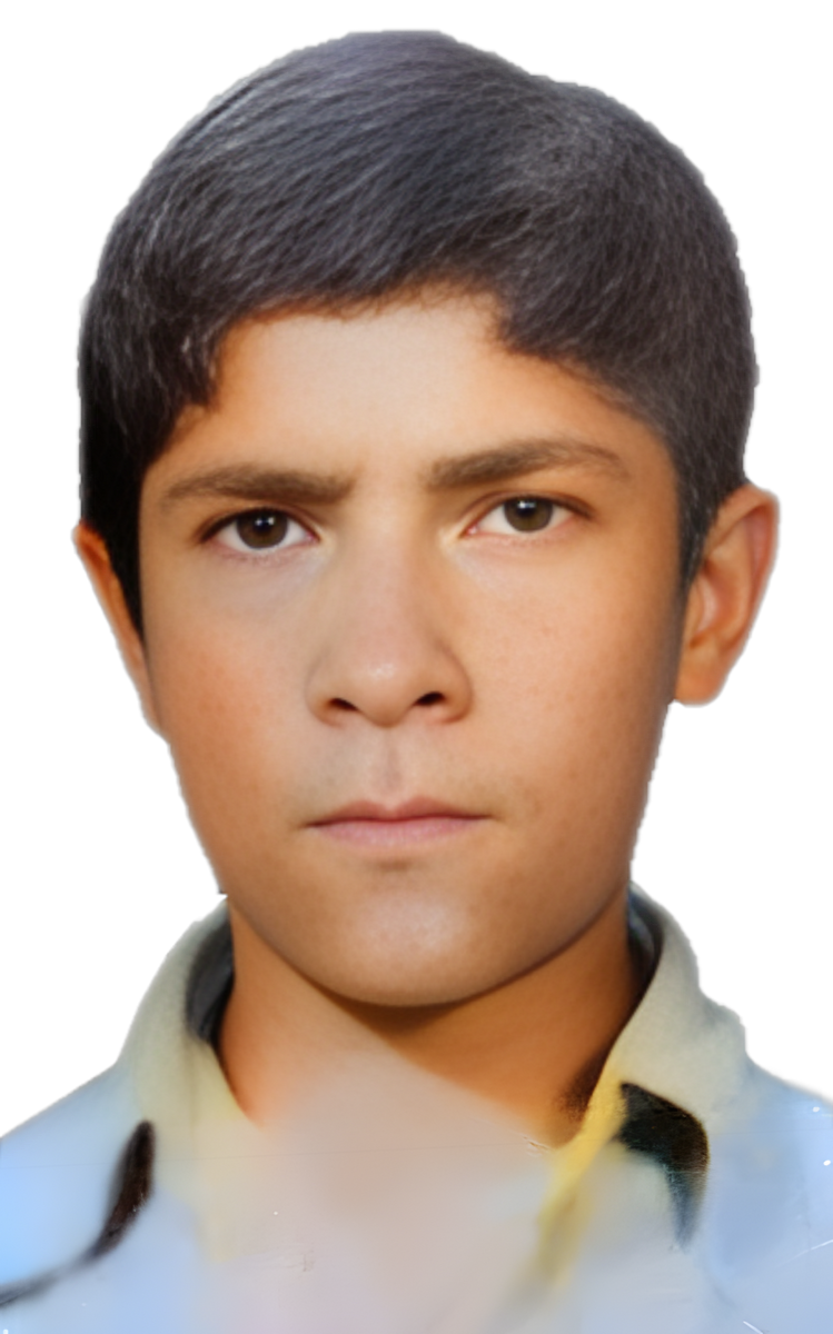 بهمن هدایت نوروزانی