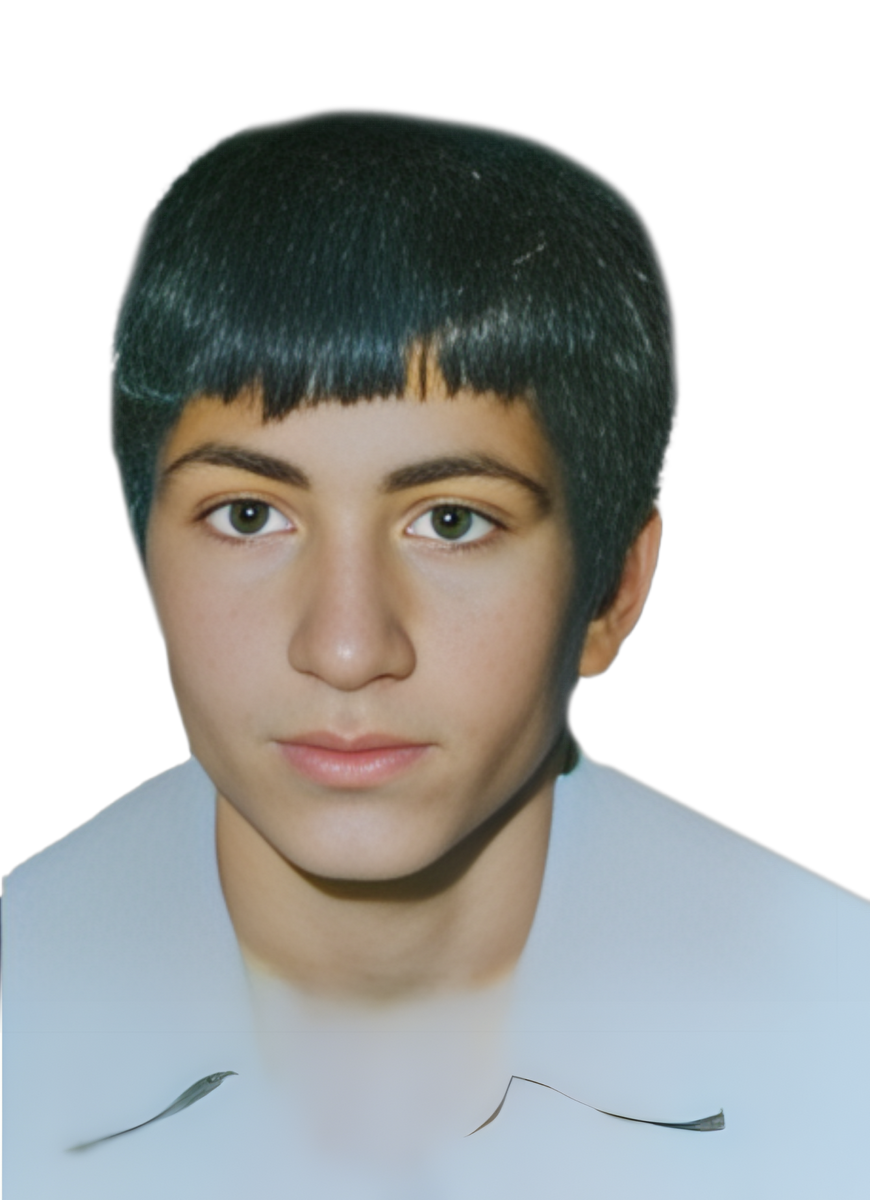 فتح اله هوشمندی