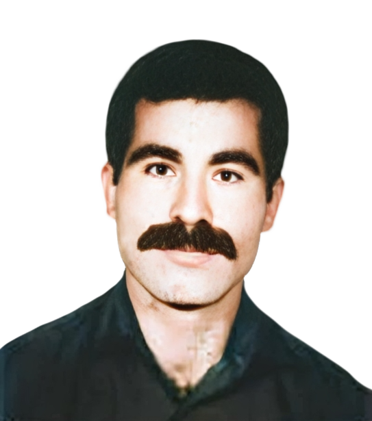 شهسوار هوشیارمهکویه