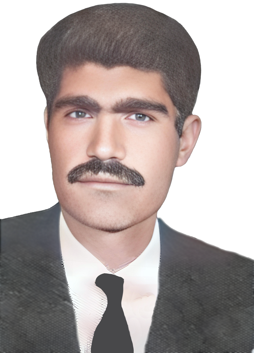 ناصر بهمنی فتح آبادی