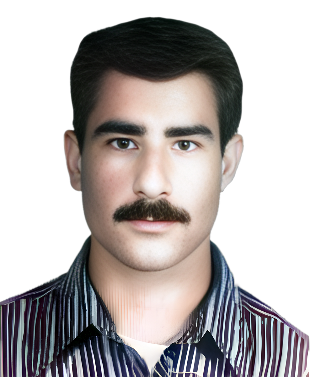 هوشنگ هوشمندی