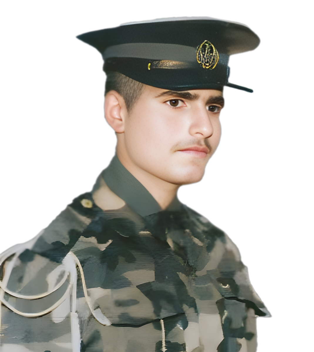 محمدرضا شهسواری