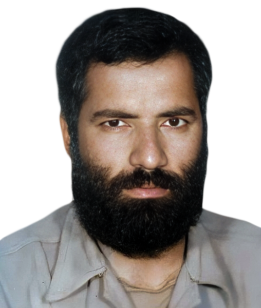 محمود فرهنگ