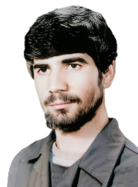 محمدرضا محمدی