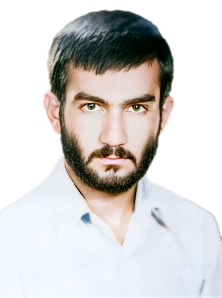 محمد علی محمدی