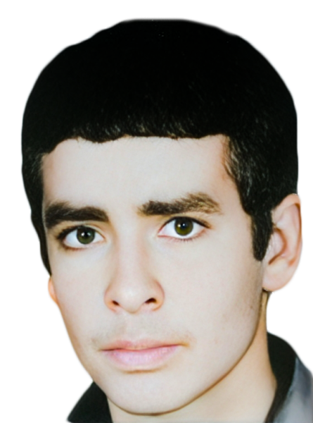 محمدحسن انصاری