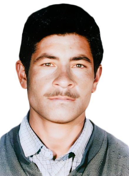 ایرج پرویزی